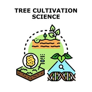 Cultivating trees using modern science and plant biotechnology Stock Illustration