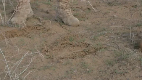 Cultivation of the soil with a hoe Stock Footage 87818181
