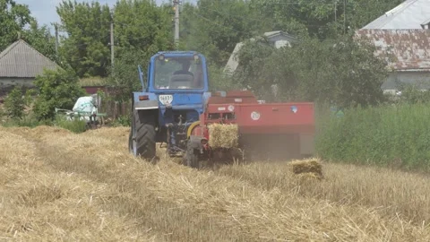 Cultivation of straw in the field with the help of a tractor. Harvesting in Stock Footage 249531361