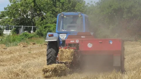 Cultivation of straw in the field with the help of a tractor. Harvesting in Stock Footage 249874255