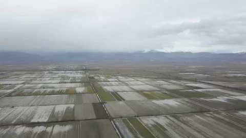 Cultivations in Abruzzo Stock Footage 114803848
