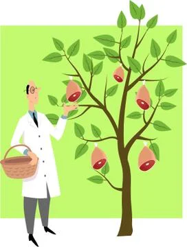 Cultured meat Stock Illustration