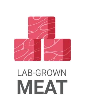 Cultured raw red meat made from animal cells artificial lab grown meat Stock Illustration