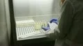 culturing anaerobic bacteria HD Footage