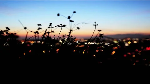 Culver City Steps Stock Footage 48388469