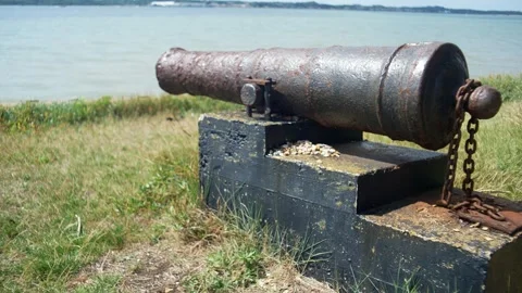 Culverin gun Stock Footage 314342782