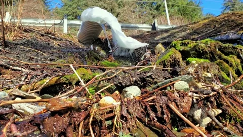 Culvert Drain with Snow running in Spring on the Roadside Stock Footage 150185009