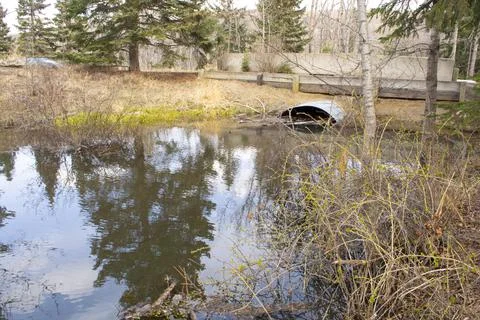 Culvert Pipe Under Road From Stream Oxbow in Park Stock Photos