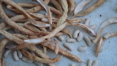 Cuma hatipoglu 動画素材 233289499