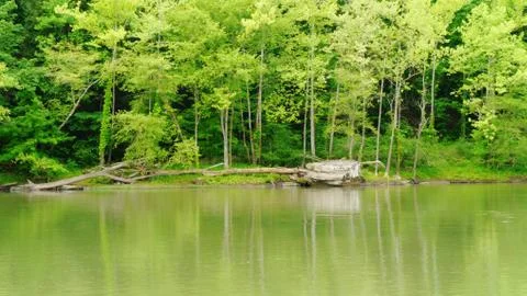Cumberland River Stockfoto's