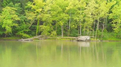 CumberlandRiver Stock Footage 38833512