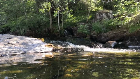 Cumbria Creeks - Aira Beck creek stream Stock Footage
