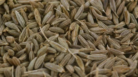 Cumin dry seeds Stock Footage 203428175