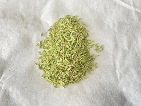 Cumin gree back Stock Photos