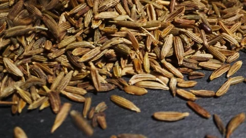 Cumin or jeera seeds rotating close-up. Seasoning cumin or jeera. Spice for food Stock Footage 259077182