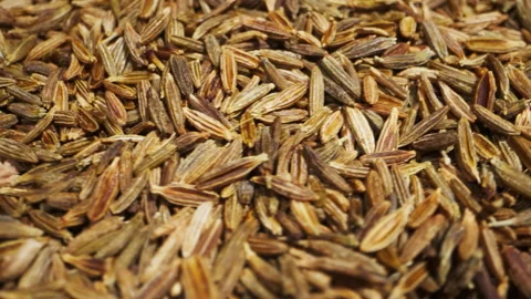 Cumin or jeera seeds rotating close-up. Seasoning cumin or jeera. Spice for food Stock Footage 260761483