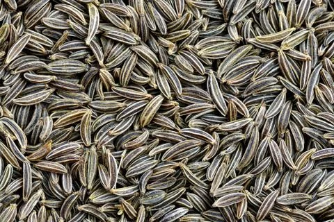 Cumin seeds background Stock Photos