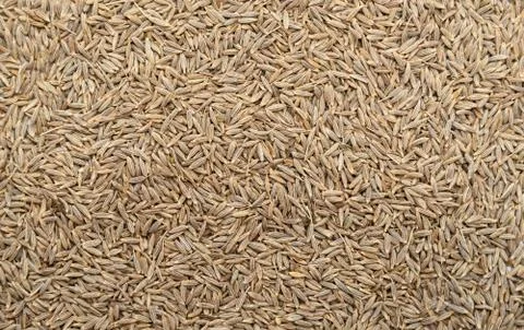 Cumin seeds background Foto stock