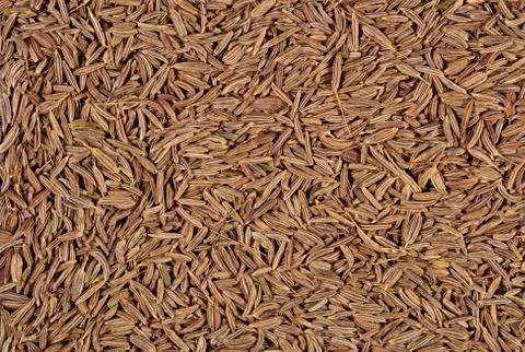Cumin seeds as background texture Stock Photos