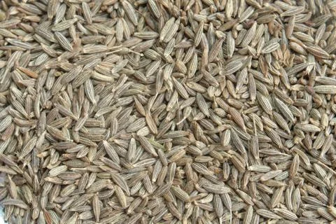 Cumin Seeds Close Up Background Image. Stock Photos