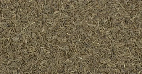 Cumin seeds closeup rotating loopable top view Stock Footage 142382311