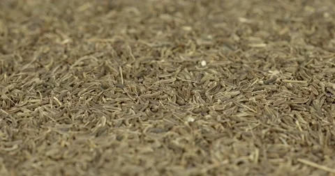 Cumin seeds closeup rotating loopable top view Stock Footage 145311969