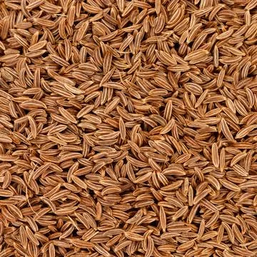 Cumin seeds creating a textured dry spice background Stock Photos