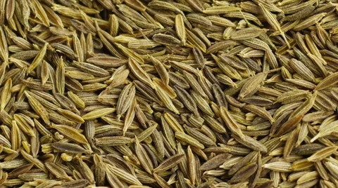 Cumin seeds. Video stock 53766397