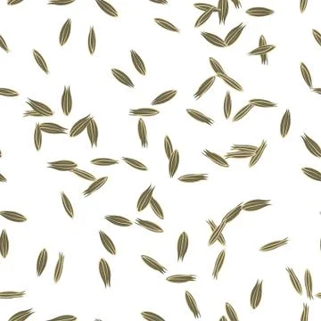 Cumin seeds Stock Illustration