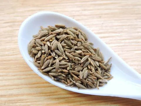 Cumin seeds in isolated background Stock Photos