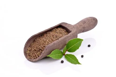 Cumin seeds of laurel leafs Stock Photos