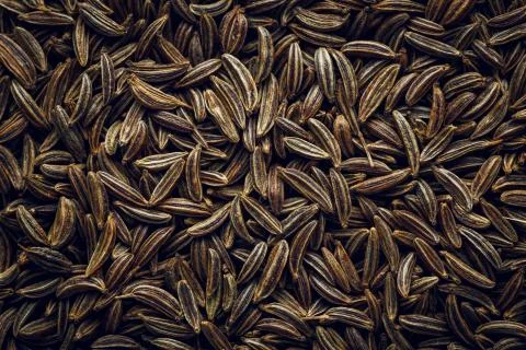 Cumin Seeds macro Background Stock Photos