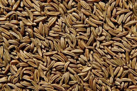Cumin seeds Stock Photos