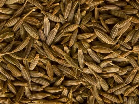 Cumin seeds Stock Photos