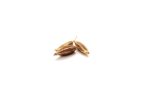 Cumin seeds 스톡 사진