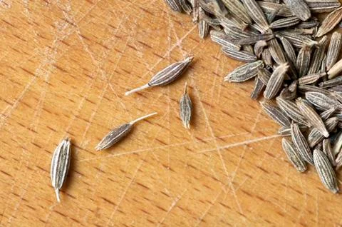 Cumin seeds Stock Photos