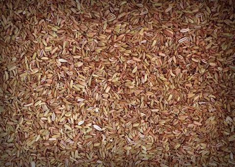 Cumin seeds Stock Photos