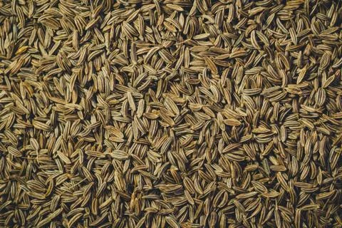 Cumin seeds Stock Photos