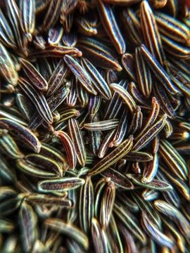Cumin Seeds Stock Photos