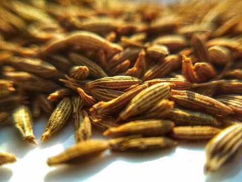 Cumin Seeds Stock Photos