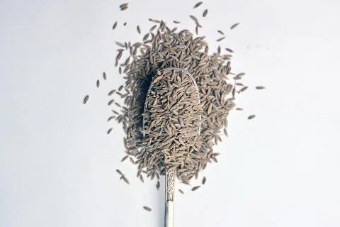 Cumin Seeds in Spoon Angled Top View with Defocus Background Macro Photograph Stock Photos