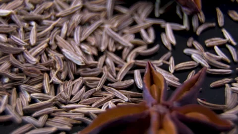 Cumin seeds with Star Anise macro. Granular spice texture. Video stock 337253095