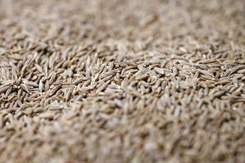 Cumin Seeds Texture with Defocus Background Macro Spice Food Photography Stock-Fotos