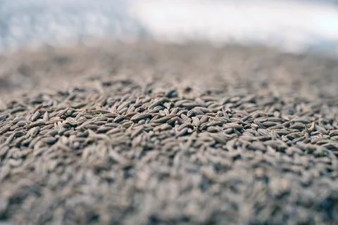 Cumin Seeds Texture Defocus Background Full Frame Macro Pattern Stock Photos