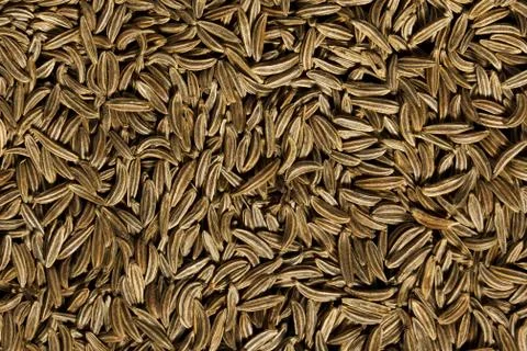 Cumin seeds texture Stock Photos