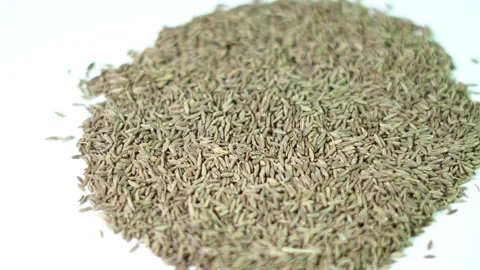 Cumin seeds on white background close up. Stock Footage 320816796