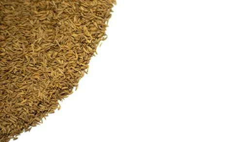 Cumin Seeds On A White Background Stock Photos