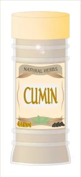Cumin spice Stock Illustration
