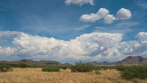 Cumulonimbus Climbing Stock Footage 219714147