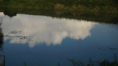 Cumulonimbus Cloud Timelapse Reflection on a Flowing Countryside River at Sunset Stock Footage 316167607